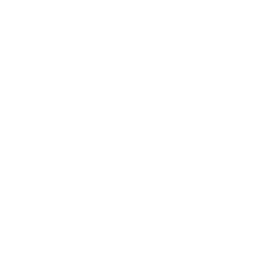 socks icon